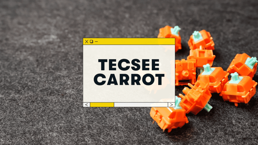 tecsee carrot review and sound test