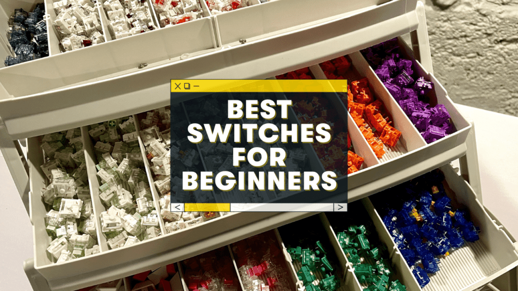 best beginner keyboard switches
